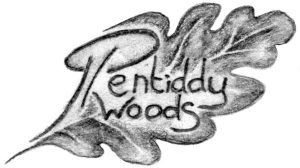Pentiddy Woods